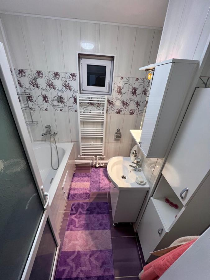 شقة Lupeni   في Jas Apartament المظهر الخارجي الصورة
